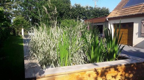 Gamme Carex